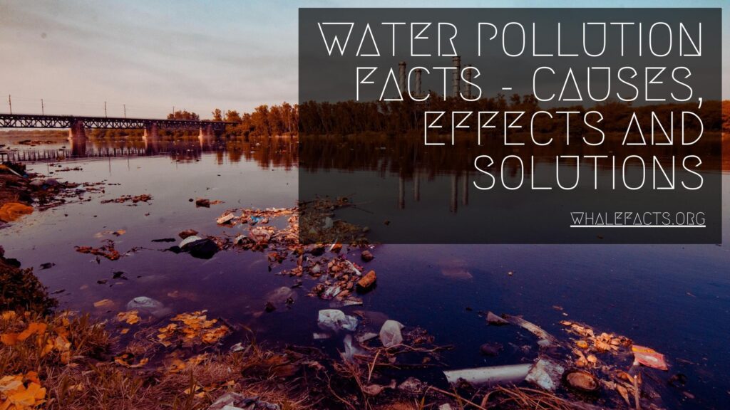 Water Pollution Facts - Causes, effects and solutions